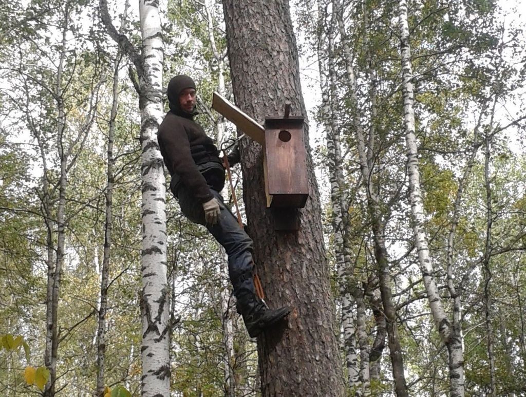 Для сов Таганая приготовили дома | Таганай